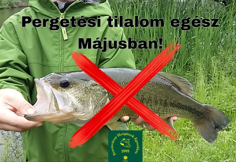 681371751_122169862106951570_73969467014482739_n